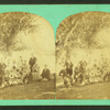 Group portrait under a tree.