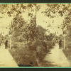 View of a garden showing a man in top hat raking a path.