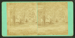 Yarmouth Camp ground.