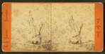 Winter scene showing a ship with ice covering the rigging.