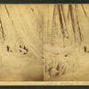 Henry A. Paull, (deck view).
