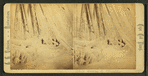 Henry A. Paull, (deck view).