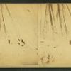 View of the Henry A. Paull, covered in ice.
