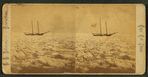 Ice-bound whaler.