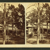 View of a house and a yard with pine trees and a rustic bench.