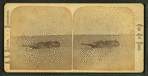 View of a wrecked whaler.