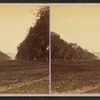 Old Hadley St.