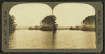 Looking across Lake Pontoosuc, Pittsfield, Mass.