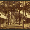 Partial view of a large open-air structure with rows of wooden benches and pine trees.