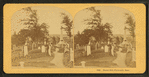 Burial hill, Plymouth, Mass.