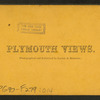 Plymouth rock.