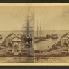 Harbor view.