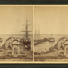 Harbor view.