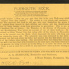 Plymouth Rock.