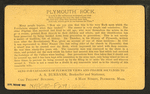 Plymouth Rock.