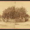 View of a stone fence opening on drive lined by orchards.