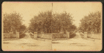 View of a stone fence opening on drive lined by orchards.