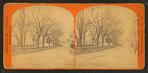View of a tree-lined street.
