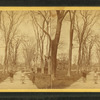 Salem Common.