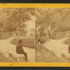 Salem Common.