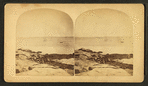 View of a rocky beach with a sail boat in the distance.