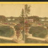 Colorized view of a garden.