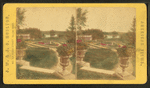 Colorized view of a garden.