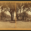 Salem Common.