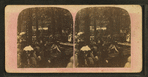 View of people standing and sitting at long tables under trees.