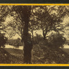 On the Housatonic River, Stockbridge, (Mass.).