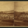 Stockbridge Bowl, farm land and fences in foreground.