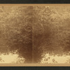 View of trees refelected on a pond.
