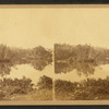 Twin Islands in Crystal Lake.