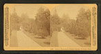Avenue, Hunnewell's French Garden, Wellesley, Mass.