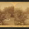 View in Hunnewell's French Garden, Wellesley, Mass.