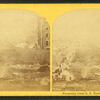 Panorama from C.F. Hovey's and Co's, Summer St.