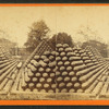 General view, Charlestown Navy Yard.