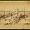 The shipping, Boston Harbor.