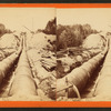 Rosemary siphon, looking east from conduit, June 1877.