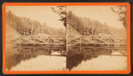Water works, Newton, Mass.
