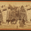 Sudbury River Conduit, B.W.W., div. 4, sec. 15, Oct. 18, 1876. View of south and east sides of east abutment of large arch.