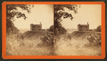 View of an unidentified building, horse and buggy in front.