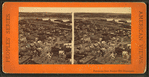 Panorama from Bunker Hill monument.