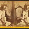 Studio portrait of a dog in a chair wearing a hat.