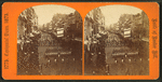 5th Maryland Regiment.
