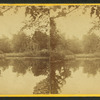 View of the lake at Forest Hills.