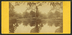 View of the lake at Forest Hills.