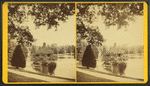 Lake at Forest Hills cemetery.