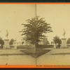 Hamilton statue, Commonwealth Avenue, Boston, Mass.