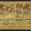 Great Peace Jubilee, Boston, 1869